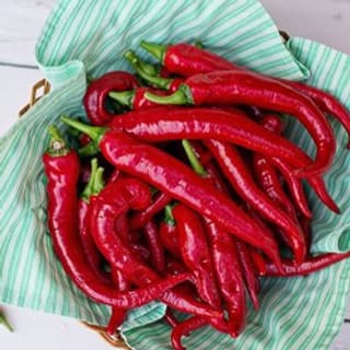Extracto de pimiento rojo